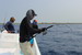Pêche à Playa del carmen (Jigging) - Canne Jigstar 250 - Parabolic action