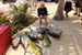 Pêche à Playa del carmen (Jigging) - Julie 