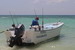 Pêche à Playa del carmen (Jigging) - Roberto's boat