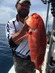 Red Snapper   
